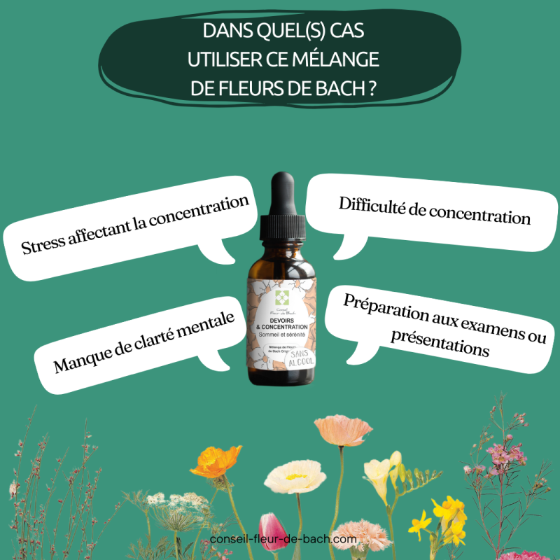 Bachblüten Hausaufgaben & Konzentration Tropfen – natürliche Unterstützung für fokussiertes Lernen