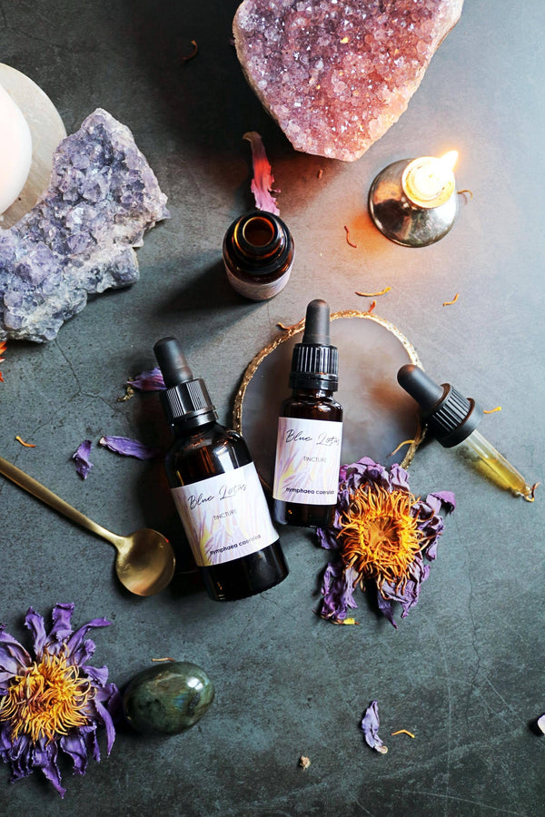 blauer-lotus-extrakt-10-1-ayamani-naturals