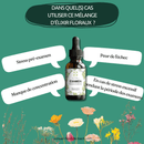 Bachblüten Prüfung Tropfen – natürliche Unterstützung für Konzentration und Selbstvertrauen