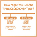 Eine Tabelle, die die Vorteile von CoQ10 im Zeitverlauf erklärt: "1-2 Monate" für "ENERGIE-BOOST+" (unterstützt Energieniveau und antioxidative Abwehr) und "3+ Monate" für "HERZGESUNDHEIT+" (unterstützt Herzgesundheit und Trainingsleistung).