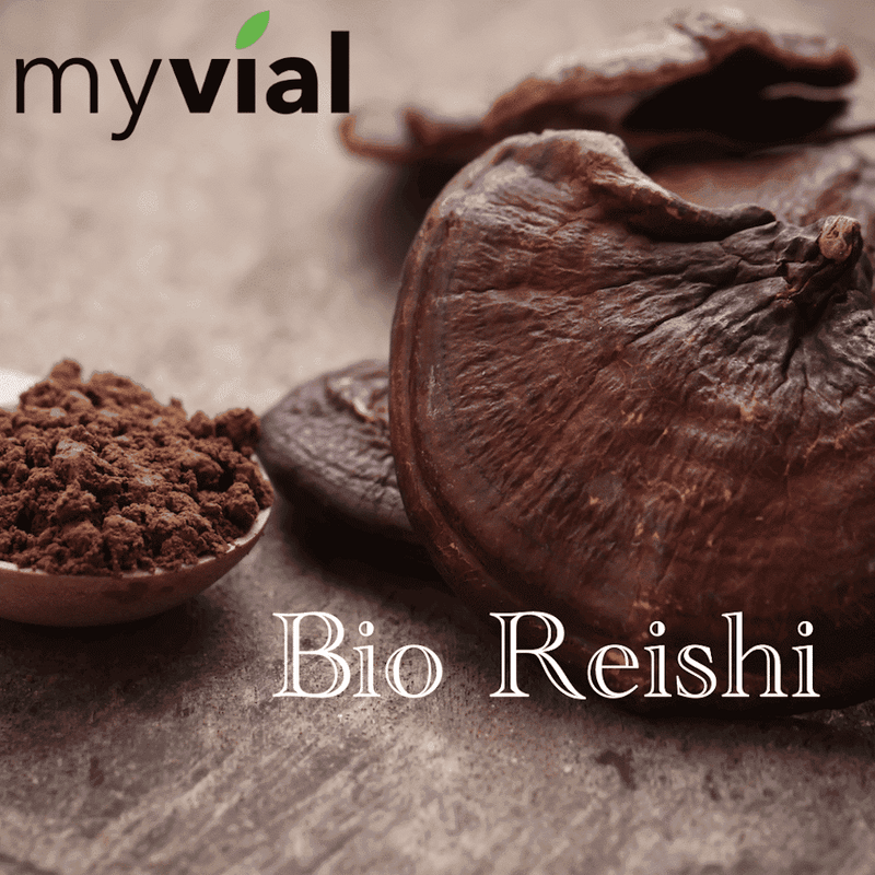 Bio Reishi Kapseln 120 Stück - Ling Zhi - Vegan