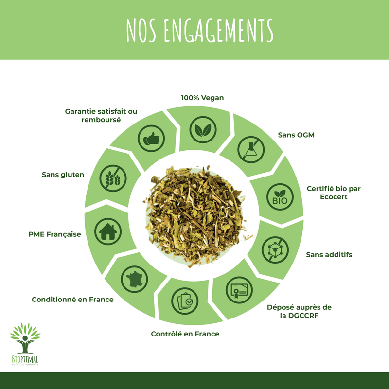 Thé minceur et détox bio - Perte de poids et détox - Vegan