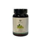 Ayurveda Specialist BV – Amla 60 Vegan Capsules