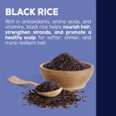 Ein Werbebild mit blauem Hintergrund und weißem Text über die Vorteile von SCHWARZEM REIS für die Haare. Eine Holzschale und ein Löffel, gefüllt mit dunklen, schwarzen Reiskörnern, sind unter dem Text abgebildet, der besagt, dass schwarzer Reis das Haar nährt, stärkt und eine gesunde Kopfhaut fördert.