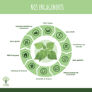 Bio-Brennnessel – Nahrungsergänzungsmittel in Kapseln für Gelenkgesundheit und Entwässerung