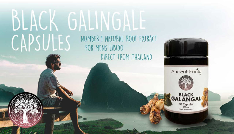 Pureté Ancienne - Galanga Noir - 60 x 250 mg | Gingembre Noir | Libido Masculine