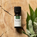 Eine kleine Flasche Zitronen-Eukalyptus-ätherisches Öl auf einer Holzscheibe mit grünen Blättern.