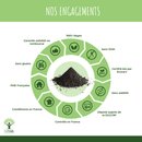 Organisches Pflanzliches Aktivkohlepulver – Verdauungskomfort und Unterstützung des Fettstoffwechsels