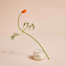 Apeiron Sensitive Care 50 ml