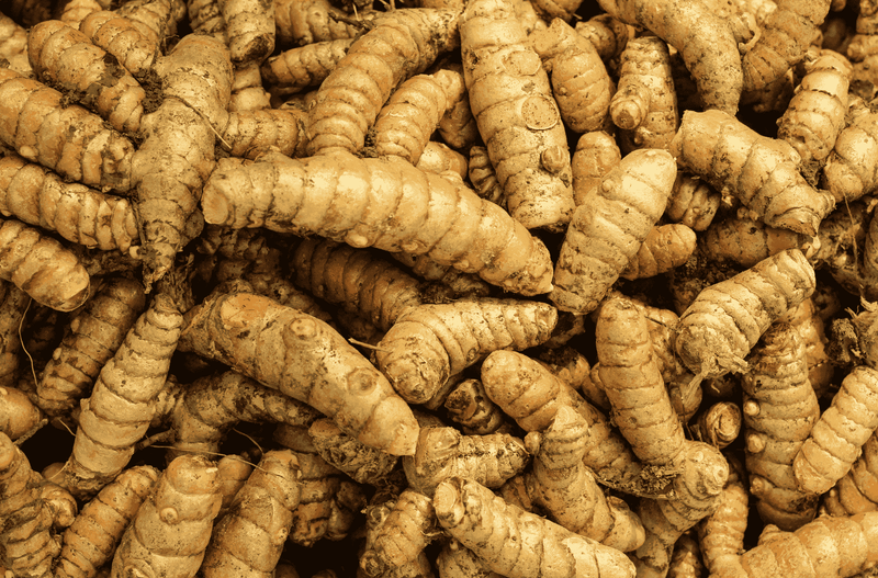 Capsules de curcuma bio au poivre bio 120 capsules - Vegan
