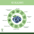 Bio-Blaubeere – Nahrungsergänzungsmittel in Kapseln zur Unterstützung der Augengesundheit