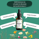 Bachblüten Erschöpfung