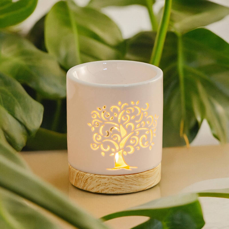 Zen'Arome - Duftlampe und Duftwachse Lebensbaum Céramy Life Tree