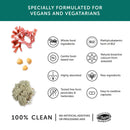 Vegan Multi — Veganes Nahrungsergänzungsmittel - 60 Kapseln, B12, Eisen, Calcium - Müdigkeit