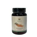 Ayurveda Specialist B.V. – Satavari (Shatavari) 500 mg Kapseln