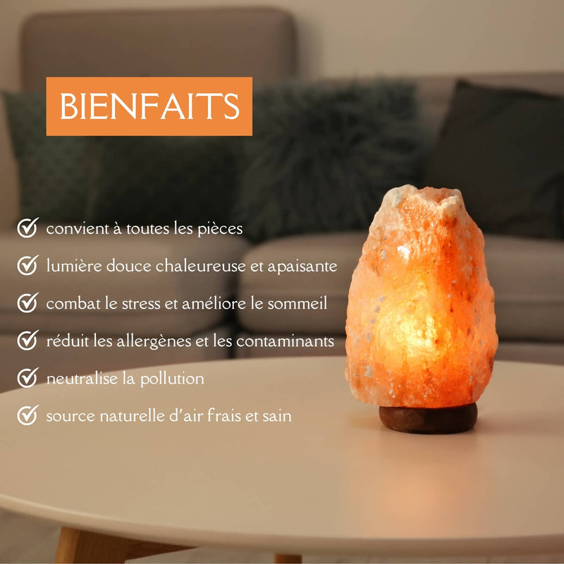 Zen'Arome - Himalaya-Salzlampe Rohform 2 bis 3 kg