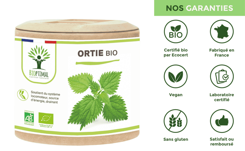 Bio-Brennnessel – Nahrungsergänzungsmittel in Kapseln für Gelenkgesundheit und Entwässerung