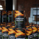 Cordyceps Militaris Pilzkapseln | Natürliche Energie, Leistungsfähigkeit, ATP, Atem, Ausdauer