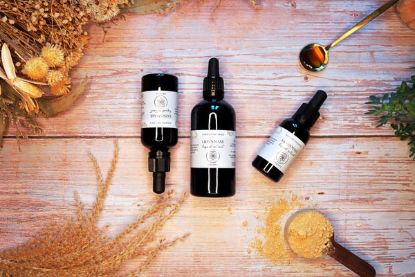 Ayamani Naturals - Lion's Mane 15:1 Flüssigextrakt alkoholfrei | BIO