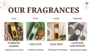 Eine Grafik mit dem Titel „OUR FRAGRANCES“ (Unsere Düfte), die vier Ayurveda-Räucherstäbchen nach Dosha kategorisiert darstellt: Vata (Tuberose Jasmin) zur Belebung & gegen Stress, Pitta (Aqua Oud) zur Kühlung & Beruhigung, Kapha (Sage Mint) zur Reinigung & Wiederaufladung und Tridosha (Lavender Lemongrass) zur Beruhigung & Erfrischung.