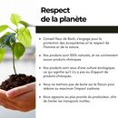 Ein Bild von Händen, die einen jungen Pflanzenkeim halten, begleitet von einer Liste von Verpflichtungen zum Umweltschutz, einschließlich 100% natürlicher und chemikalienfreier Produkte, ökologischer Anbau und Transportoptimierung.