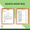 Zwei Holzrahmen mit offiziellen Dokumenten, darüber großer Text „RADIS NOIR BIO – Ein Produkt de qualité premium“ auf grünem Hintergrund. Links ein französisches Zertifikat, rechts eine Liste mit Beschriftungen und Stempel „DÉLIVRÉ“. Unten links ein Baum-Logo mit „Bioptimal“.