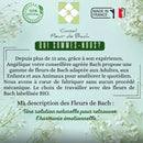 Bachblüten Loslassen – Für mehr Ruhe und Gelassenheit