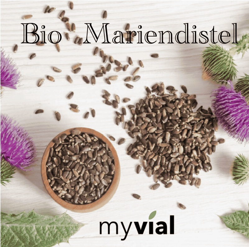 Bio Mariendistel 120 Kapseln - Gesund für die Leber - Vegan