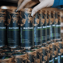 Maitake-Pilzflüssigkeit - Herz, Antioxidantien, Entzündung