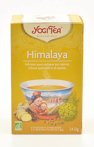 Himalaya Chai Bio 17 Stk. - Mana Kendra GmbH