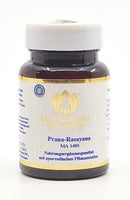 Prana Rasayana 20 Stk. - Mana Kendra GmbH