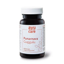 Ayurvedic lixir, Ashoka Arishta 500ml